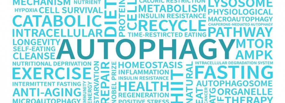 Autofagija Cover Image